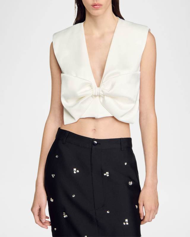 Passy Satin Oversized Bow Crop Top